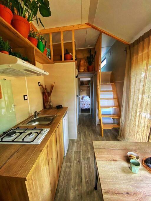 Tiny Liloumaca Coeur Ste Baume Villa Plan d'Aups Exterior foto