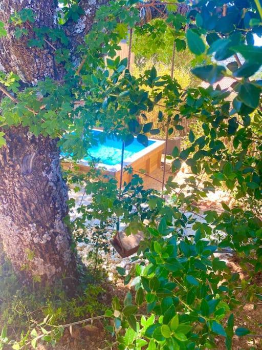 Tiny Liloumaca Coeur Ste Baume Villa Plan d'Aups Exterior foto